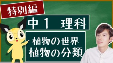 植物の分類 中１理科 植物の世界 エデュサイ