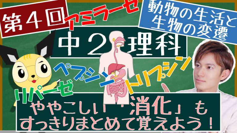 動物の生活と生物の変遷 中２ エデュサイ