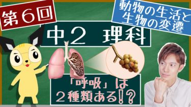 呼吸のはたらき 中２理科 動物の生活と生物の変遷 エデュサイ