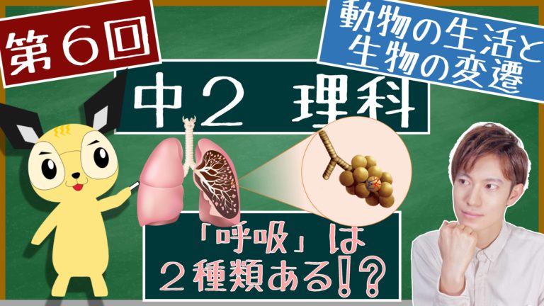 呼吸のはたらき 中２理科 動物の生活と生物の変遷 エデュサイ