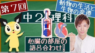 血液の循環 中２理科 動物の生活と生物の変遷 エデュサイ