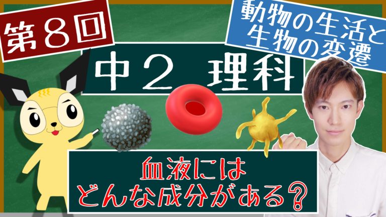 動物の生活と生物の変遷 中２ エデュサイ