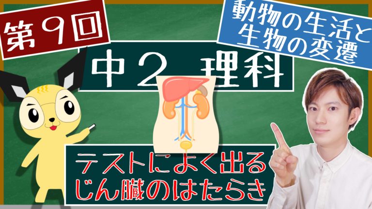 動物の生活と生物の変遷 中２ エデュサイ