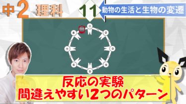 骨と筋肉のはたらき 中２理科 動物の生活と生物の変遷 エデュサイ